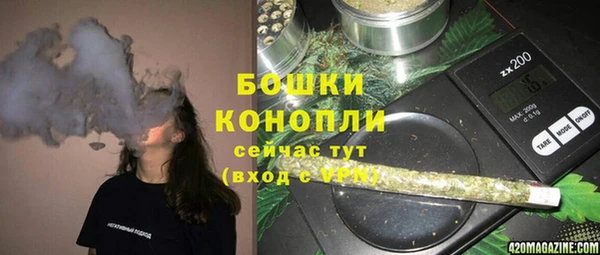 крисы Вязьма