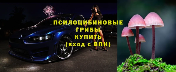 прущая мука Вяземский