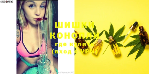 крисы Вязьма