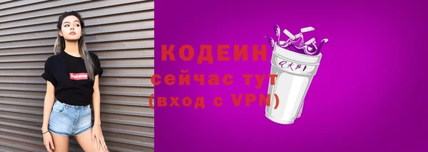 прущая мука Вяземский