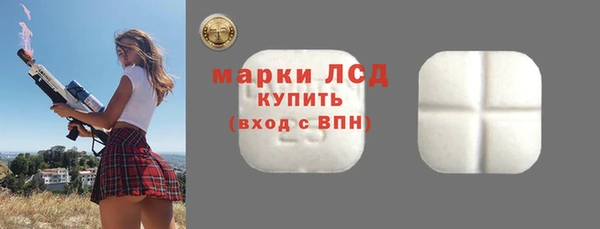 крисы Вязьма