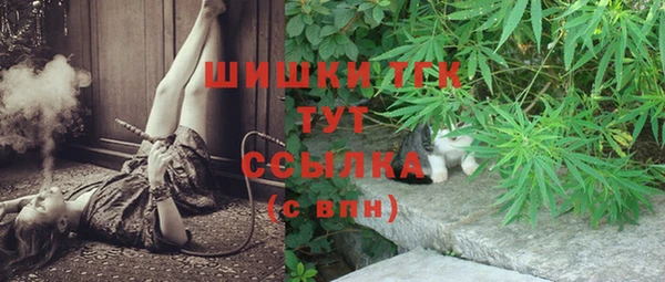 прущая мука Вяземский