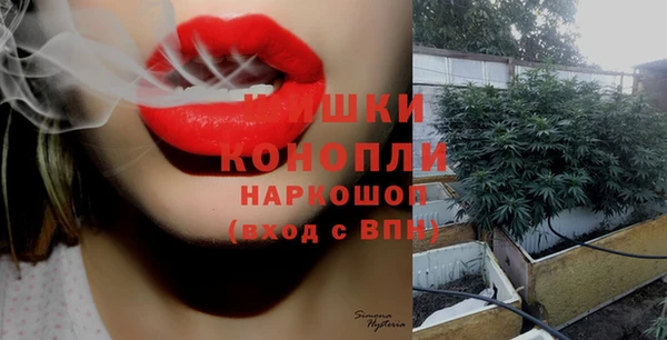 крисы Вязьма